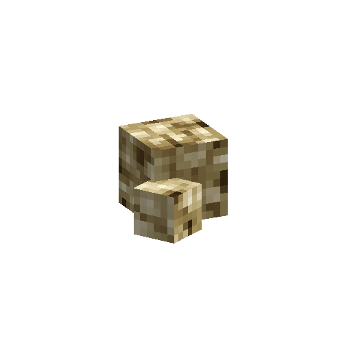 coral-sponge-smooth-dead-5