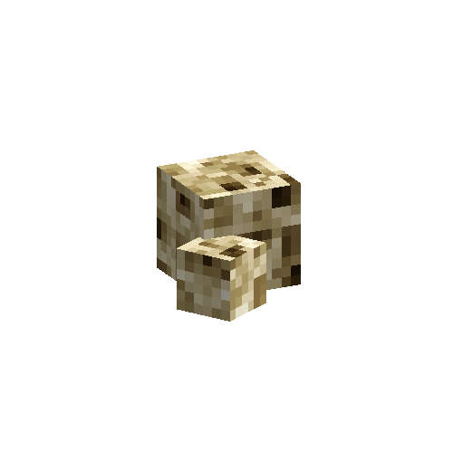 coral-sponge-smooth-dead-6