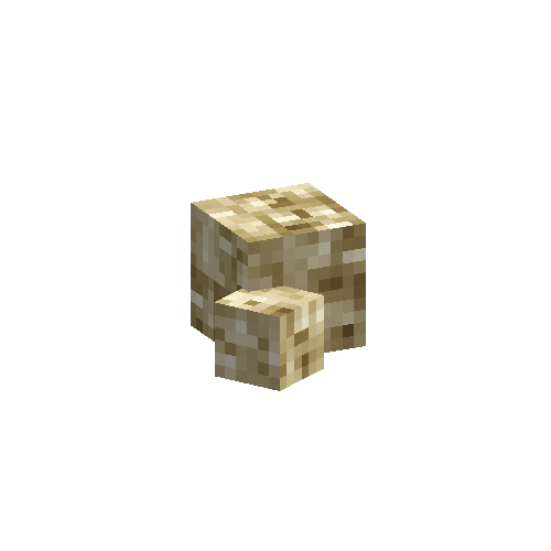 coral-sponge-smooth-dead-7