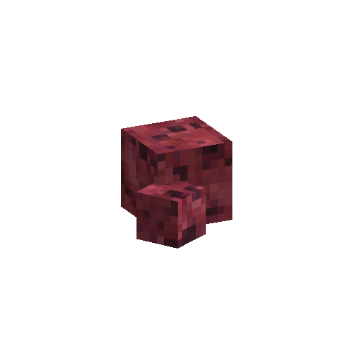 coral-sponge-smooth-red-2
