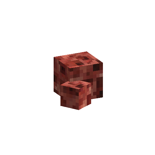 coral-sponge-smooth-red-6
