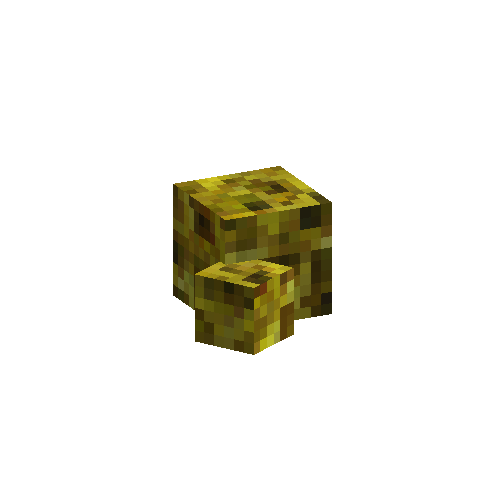 coral-sponge-smooth-yellow-6