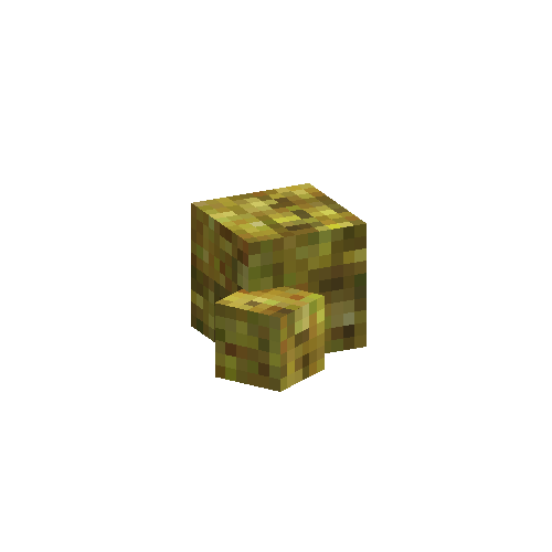 coral-sponge-smooth-yellow-7