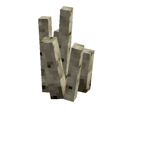 coral-tube-dead-1