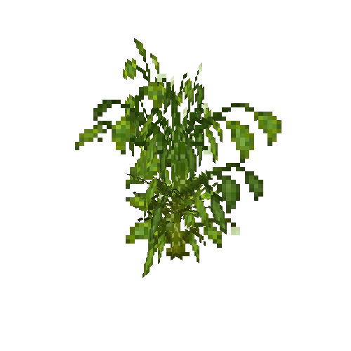 crop-bellpepper-10