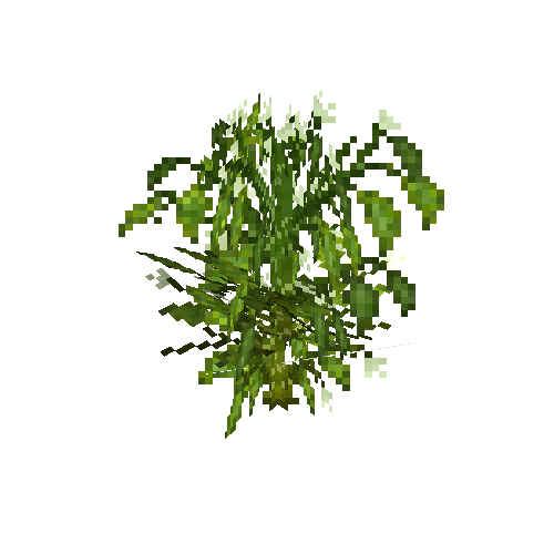 crop-bellpepper-11