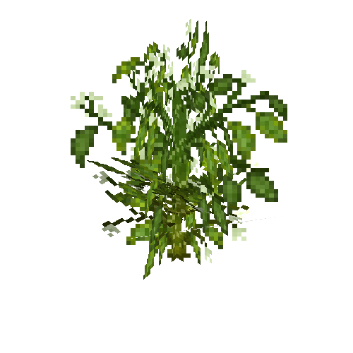 crop-bellpepper-12