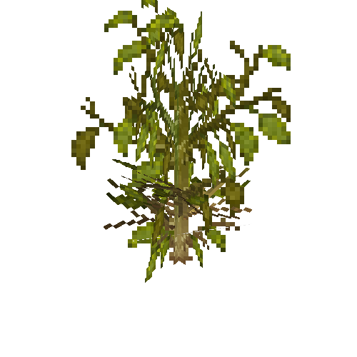 Wilting bell pepper