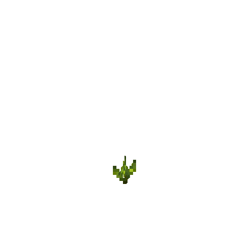 crop-bellpepper-2