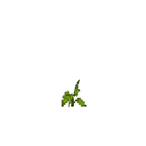 crop-bellpepper-3