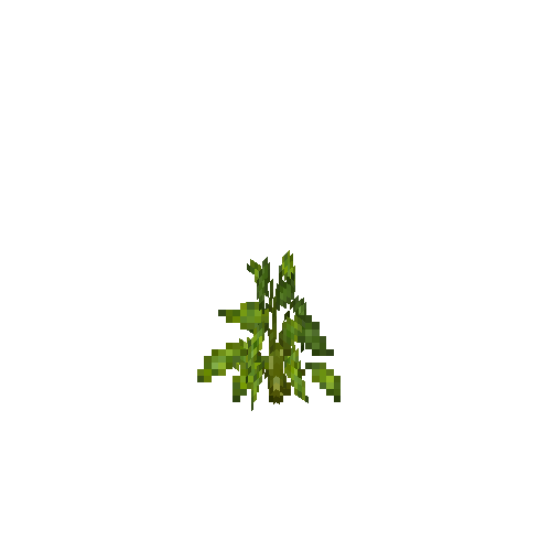 crop-bellpepper-5