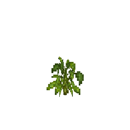 crop-bellpepper-6