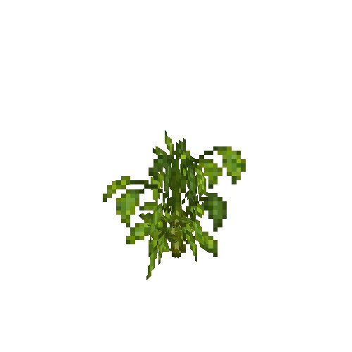 crop-bellpepper-7