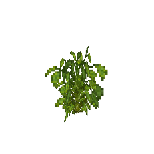 crop-bellpepper-8