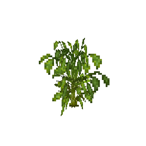crop-bellpepper-9