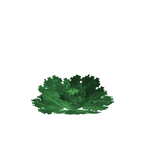 crop-cabbage-10