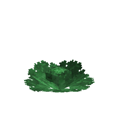 crop-cabbage-11