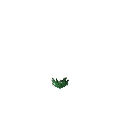 crop-cabbage-3