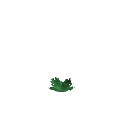 crop-cabbage-4