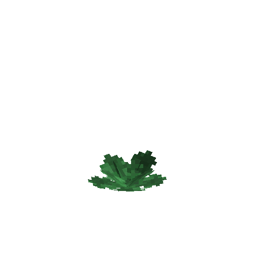crop-cabbage-5