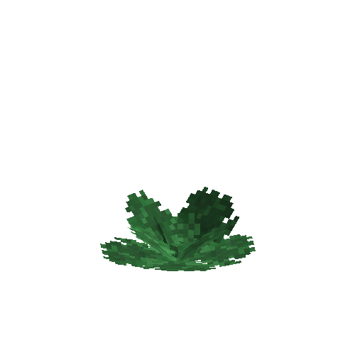 crop-cabbage-7