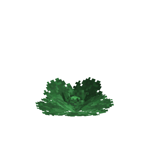 crop-cabbage-9