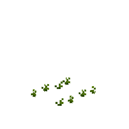 crop-carrot-1