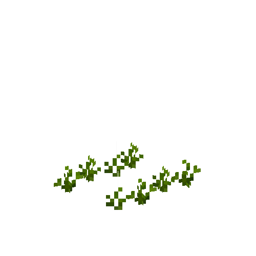 crop-carrot-2