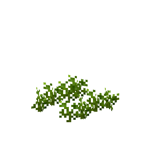 crop-carrot-3