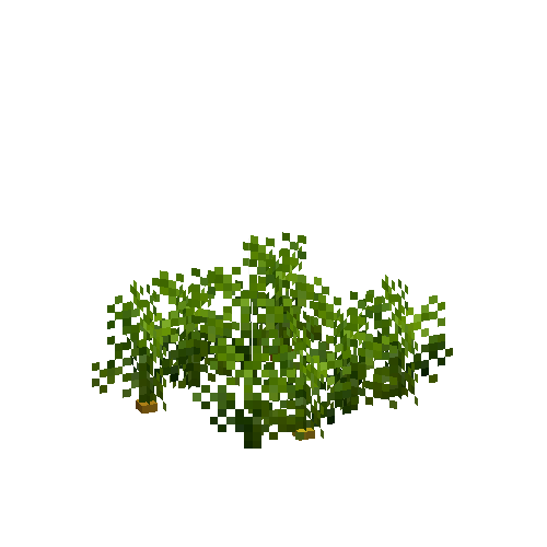 crop-carrot-5