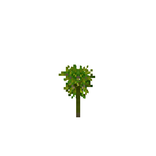 crop-cassava-4