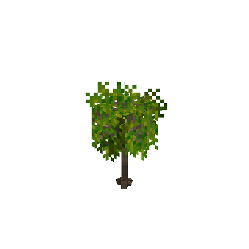 crop-cassava-5