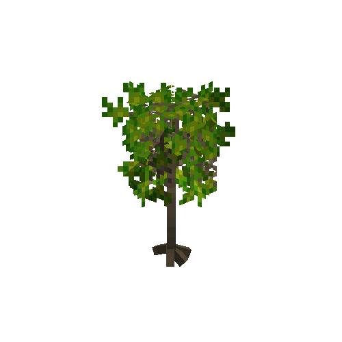 crop-cassava-6