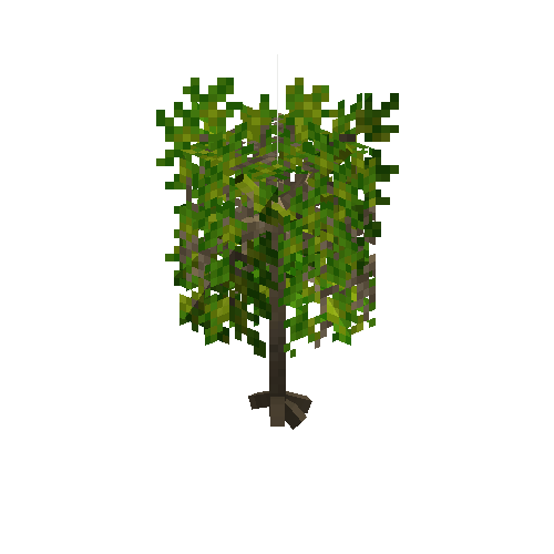 crop-cassava-7
