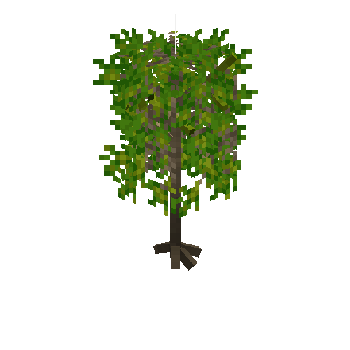 crop-cassava-8