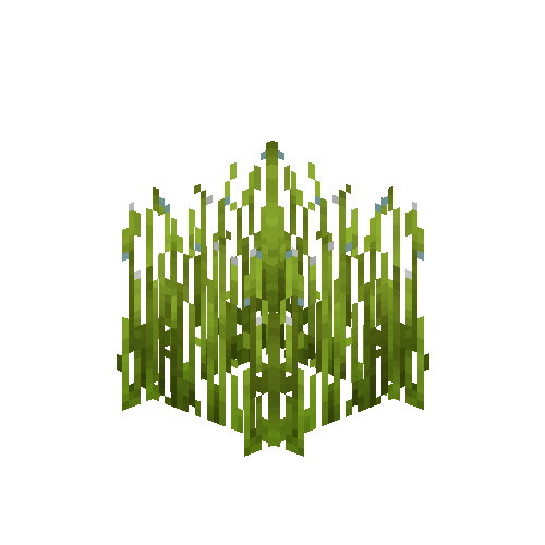 crop-flax-6