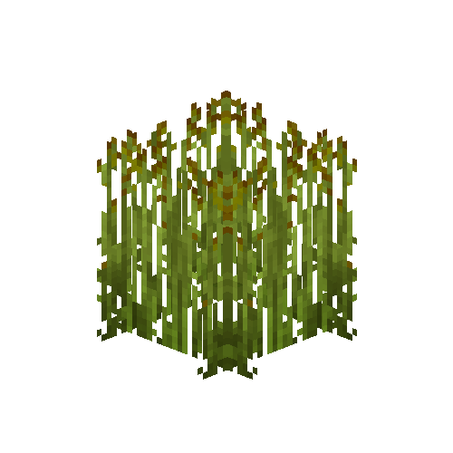crop-flax-8
