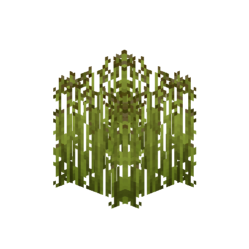 Mature flax