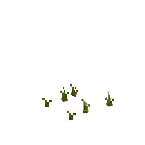 crop-onion-2