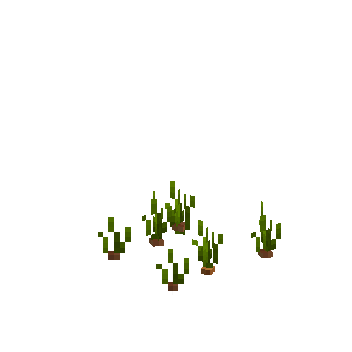 crop-onion-3