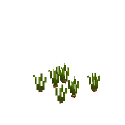 crop-onion-4