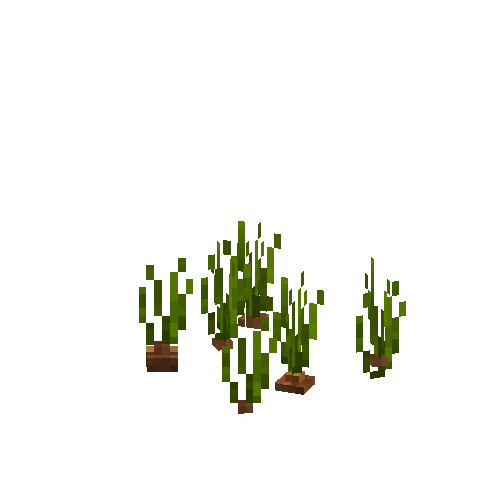 crop-onion-5
