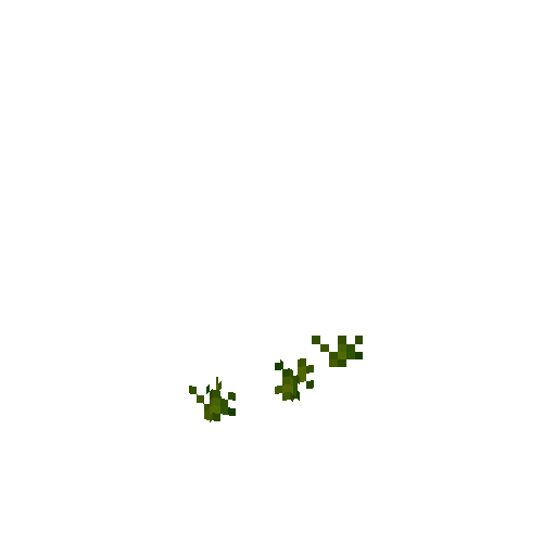 crop-parsnip-2