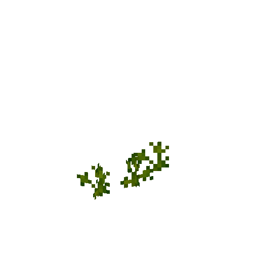 crop-parsnip-3