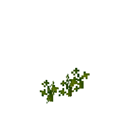 crop-parsnip-4