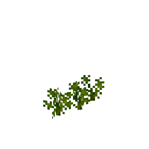 crop-parsnip-5