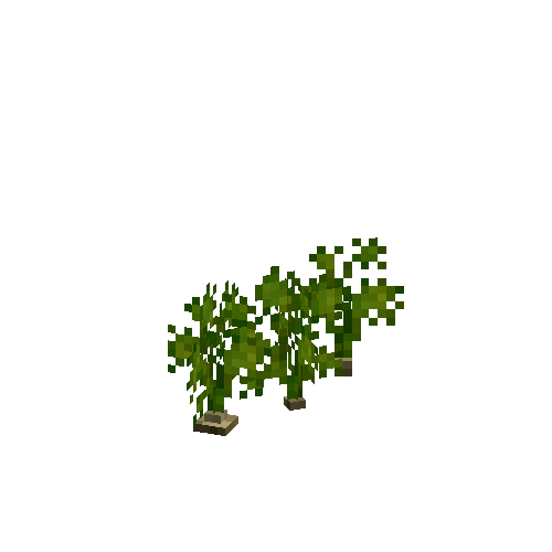 crop-parsnip-7