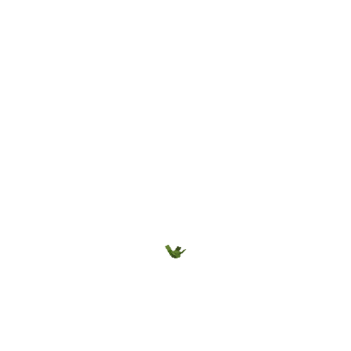 crop-pineapple-1