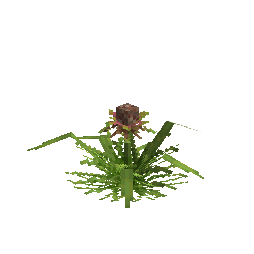 crop-pineapple-11