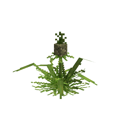 crop-pineapple-15